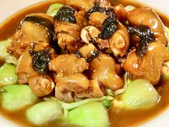 -香港富临皇宫(五月花商业广场店)