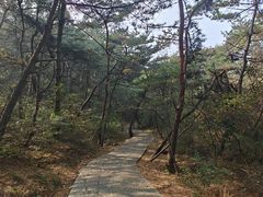 -金龙寺国家森林公园