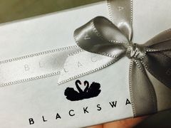 -BLACKSWAN黑天鹅(环球店)