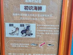 -海合安成都极地海洋公园