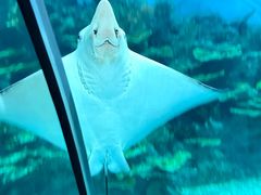 -福州罗源湾海洋世界旅游区