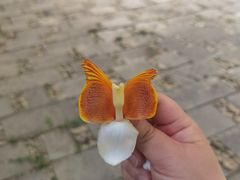-七仙岭君澜度假酒店
