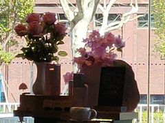 -星巴克臻选(上海长风大悦城店)