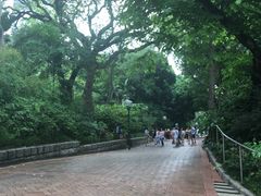 -九龙公园