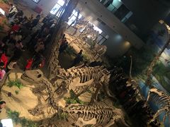 -自贡恐龙博物馆