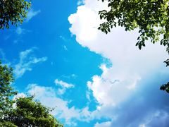 -鹿院坪生态旅游景区