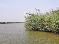 -宁波杭州湾国家湿地公园
