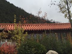 -麦积山温泉