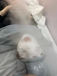 -SKIN79皮肤管理中心