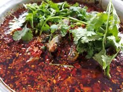 -胖大姐黄辣丁鱼庄(新津店)