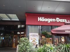 门面-哈根达斯(龙湖时代天街店)