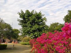 -厦门老院子景区