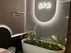 -小仙女采耳·按摩·SPA(深圳旗舰店)