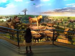 -陕西自然博物馆