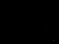 -青山公园萤火虫科普展