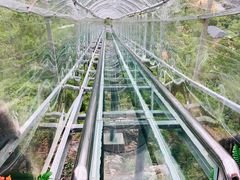 -汕尾铜鼎山旅游区