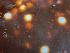 -鸡鸣汤包(广东路店)