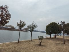 -郑东新区龙湖公共艺术中心