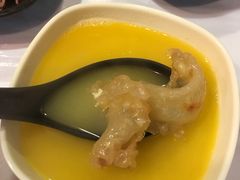 -鲜入围煮花胶鸡海鲜火锅