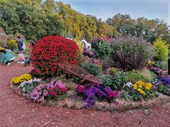 -上海共青森林公园