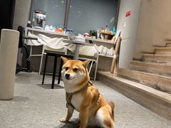 -mYSTEPS健身运动馆(古北店)