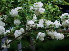 -天鹅湖体育公园