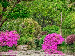 -野蔓果·山野菜(西湖景区·龙井茶田店)