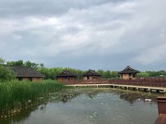 -杭州湾海上花田景区