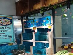 -元银甲·湖北地标美食(汉阳店)