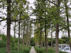 -洪湖家庭农场·团建·露营·会议