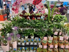 -合肥蜀山万象汇