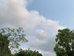 -中山市树木园