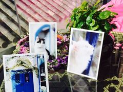 iphone_upload_pic-Anne猫窝咖啡屋