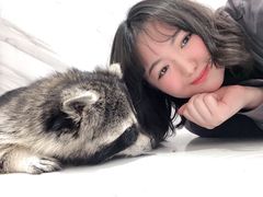 -浣熊柯尔鸭土拨鼠·电玩咖
