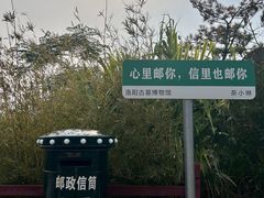 -洛阳古墓博物馆