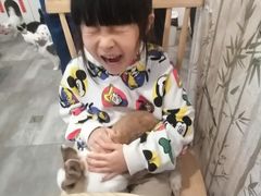 -楼上猫咖(罗湖店)