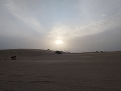 -迪拜沙漠冲沙