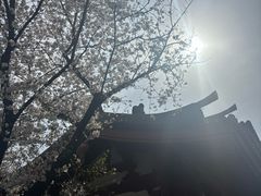 -我嘉书房(南翔名士居店)