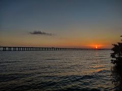 -宝安西湾红树林湿地公园