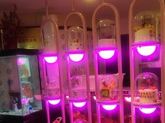 -巴特餐饮6加1音乐餐吧·新疆菜
