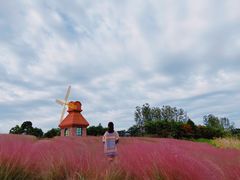 -杭州湾海上花田景区
