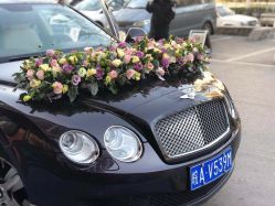 -蚂蚁婚车