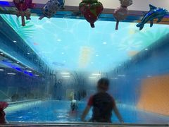 -蓝鲸奇亲子游泳俱乐部