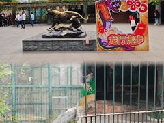 -广州动物园