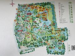 -上海共青森林公园