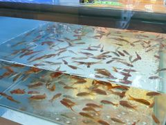 -快乐街区(成都龙湖北城天街店)