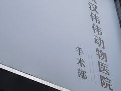 -伟伟宠物医院·CT影像中心·瑞派犬猫综合性门诊(汉口总院)