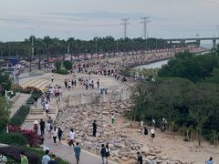 -宝安西湾红树林湿地公园