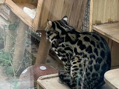 -青藏高原野生动物园