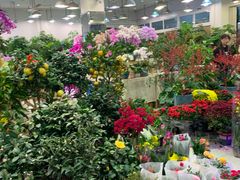 -双季花艺园艺市场(浦东店)